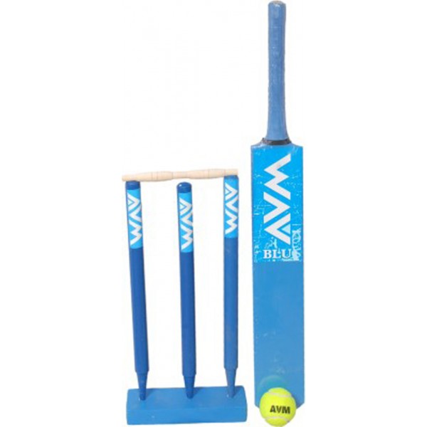 AVM Blue Cricket Kit (Size 5)